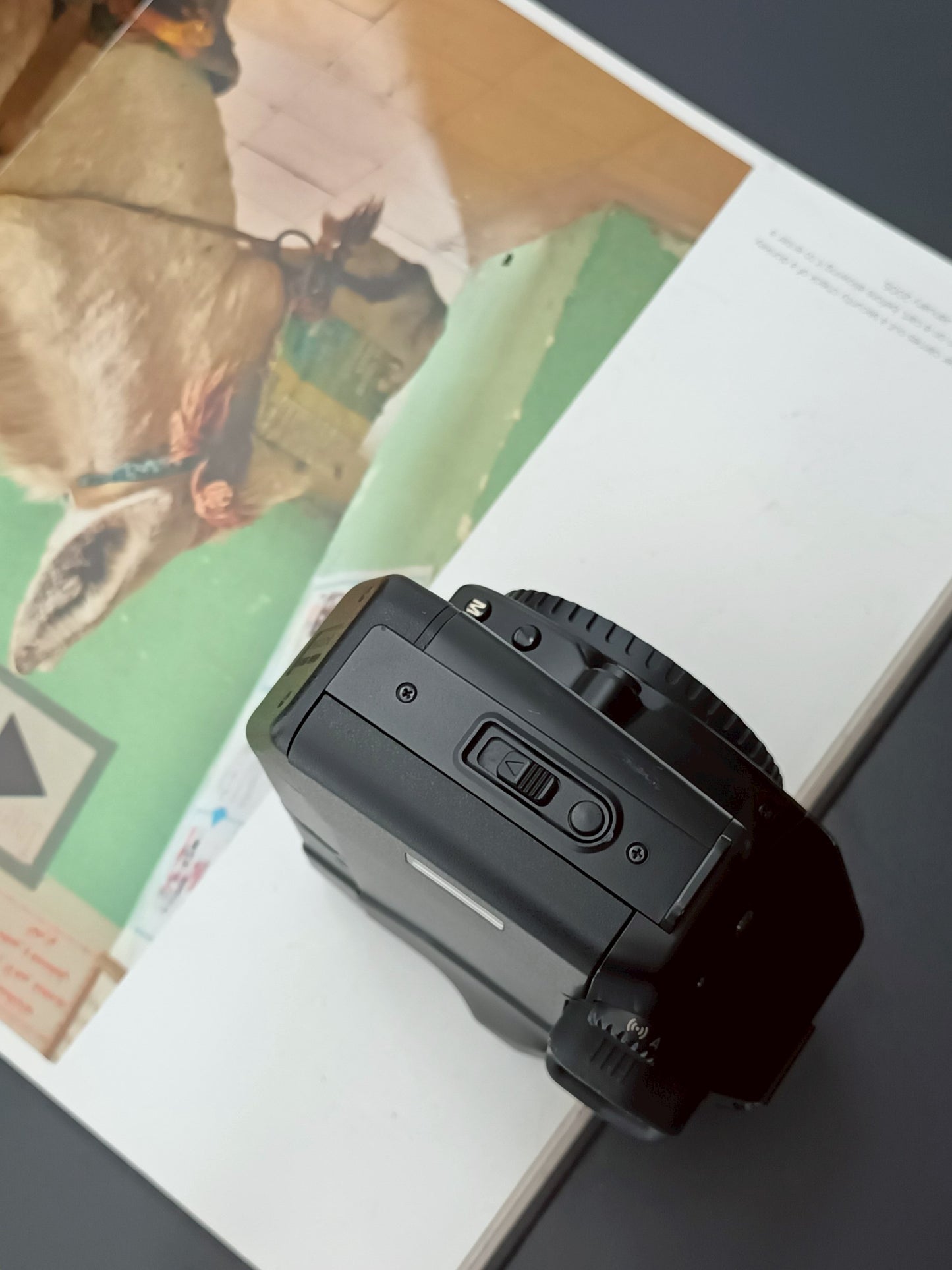 Canon EOS RT body