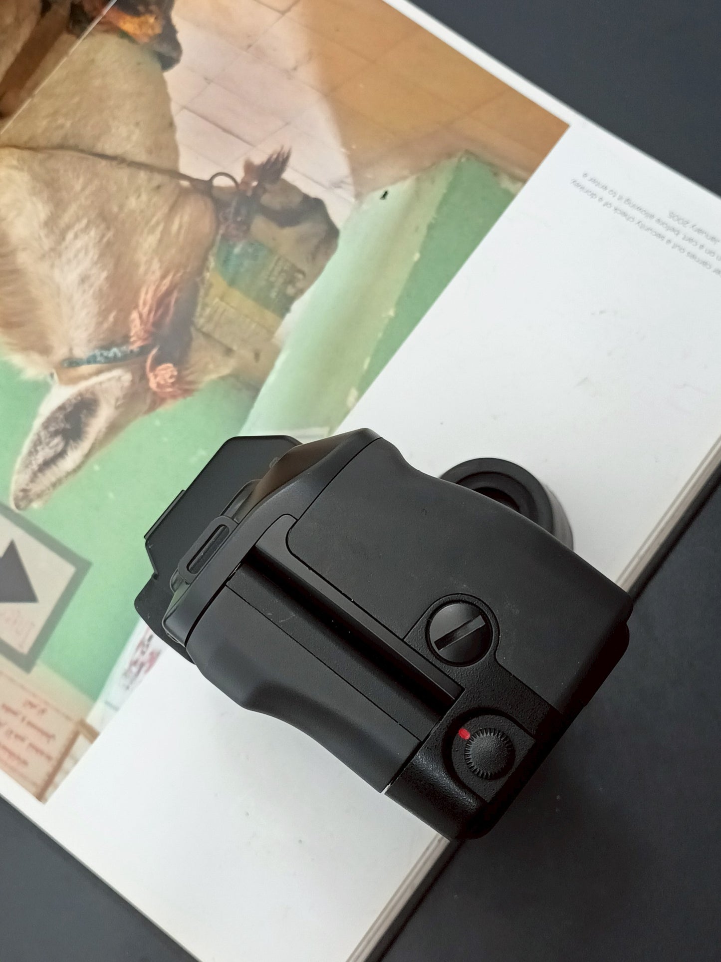 Canon EOS RT body