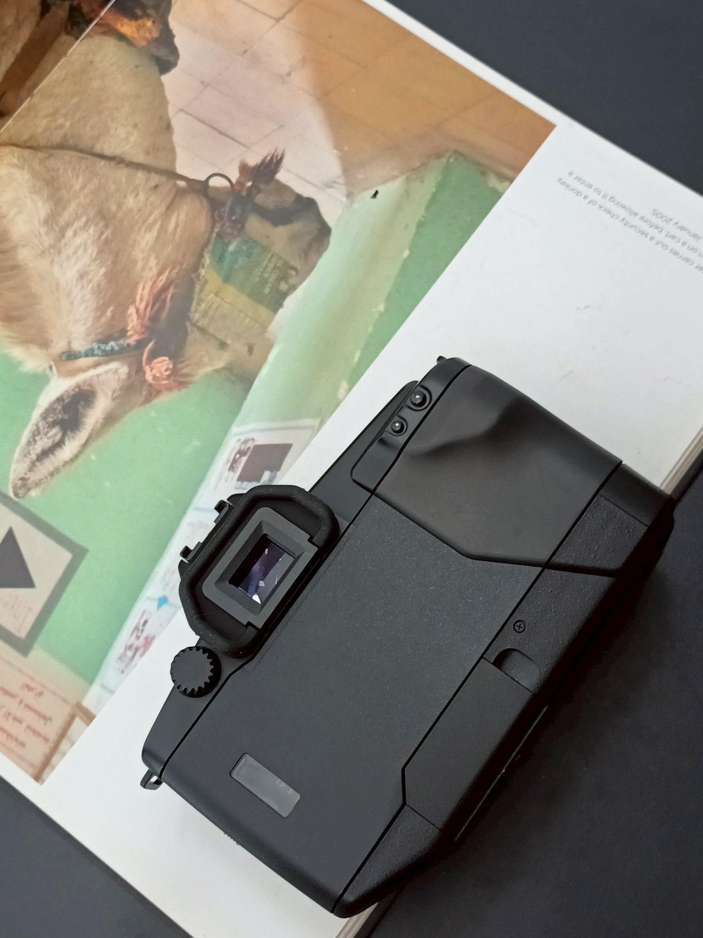 Canon EOS RT body