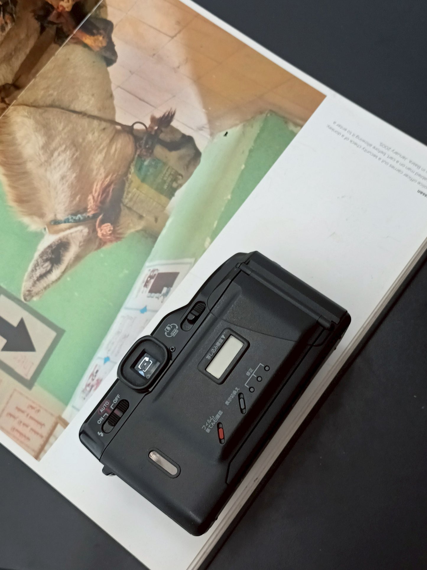 Canon Autoboy TELE Quartz Date #1649869