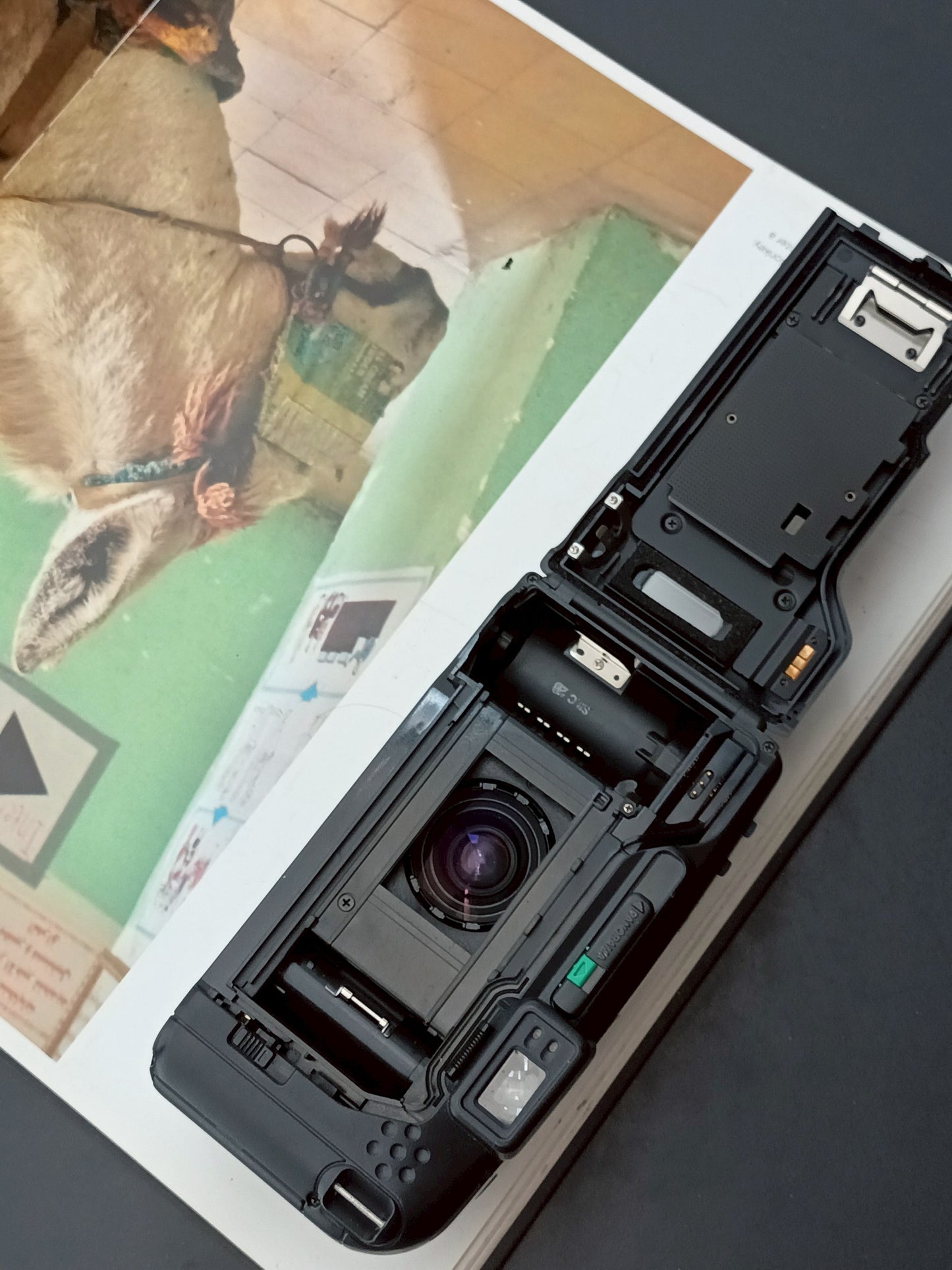 Olympus IZM220 panorama zoom