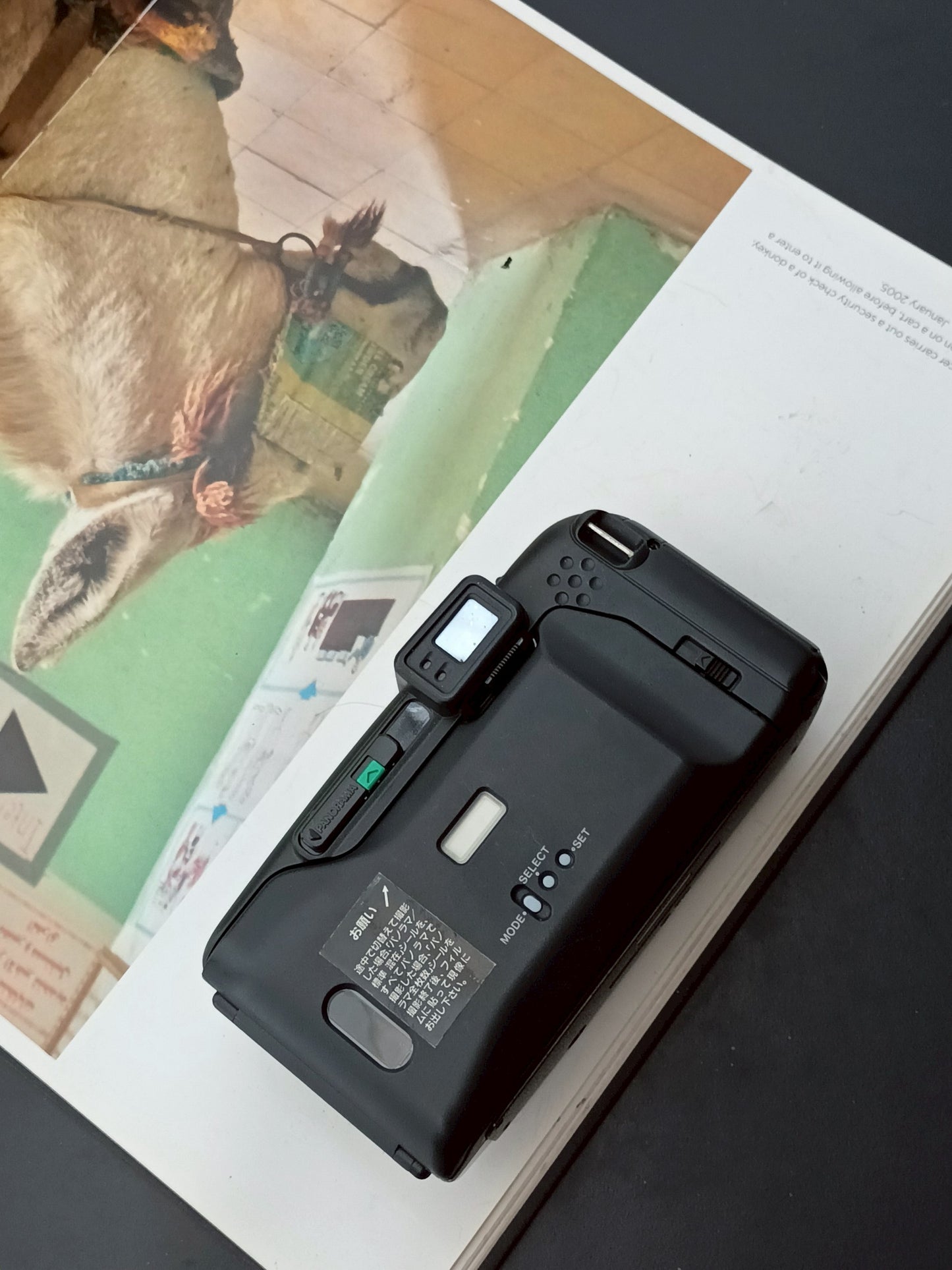 Olympus IZM220 panorama zoom